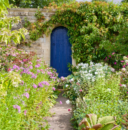 동네의 비밀 정원