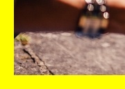 자격시험비도움정책&amp;#44; 어학시험환급신청&amp;#44; 국가시험환급정책&amp;#44; 강동복지정보2025&amp;#44; 청년시험보조제도&amp;#44; 청년교육활동비지원&amp;#44; 강동정부지원요약&amp;#44; 청년직무능력시험지원&amp;#44; 국가자격시험응시료정책&amp;#44; 청년직업능력개발금&amp;#44; 