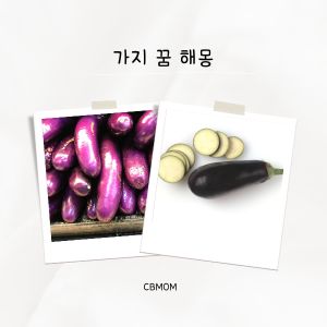 가지 꿈