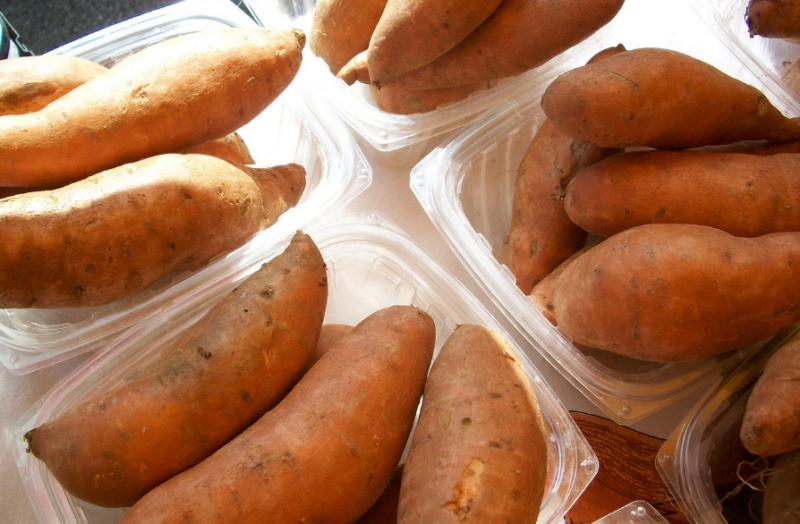 체내 체지방이 쌓이지 않는 음식