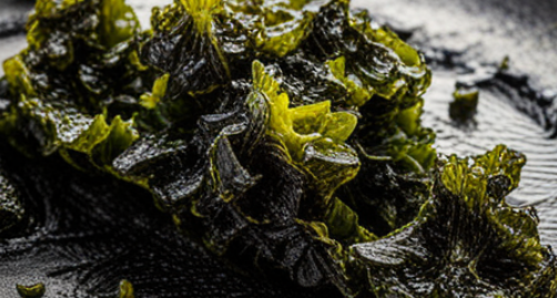 음식 궁합 상극