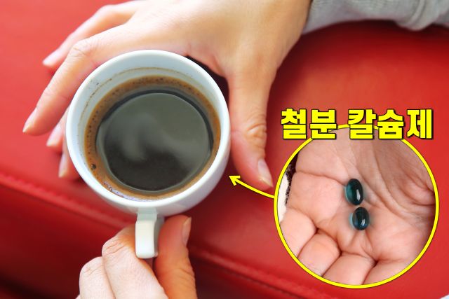 커피와 같이 먹으면 안되는 약, 철분제 칼슘제, 팁줌