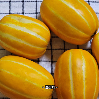 참외껍질 음식물쓰레기 인가요