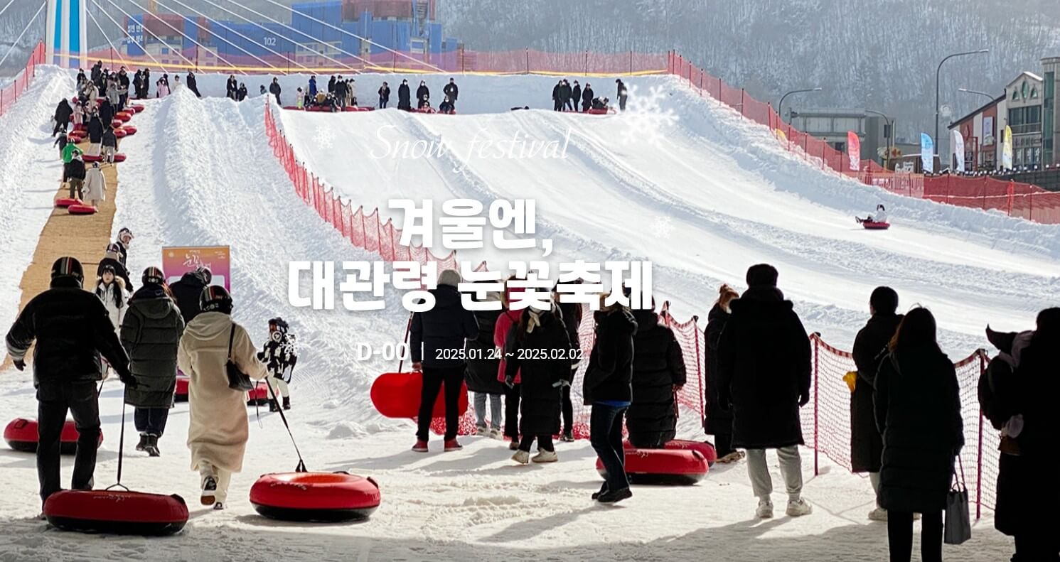 2025 대관령눈꽃축제 완벽가이드 - 무료주차부터 꿀팁까지 총정리