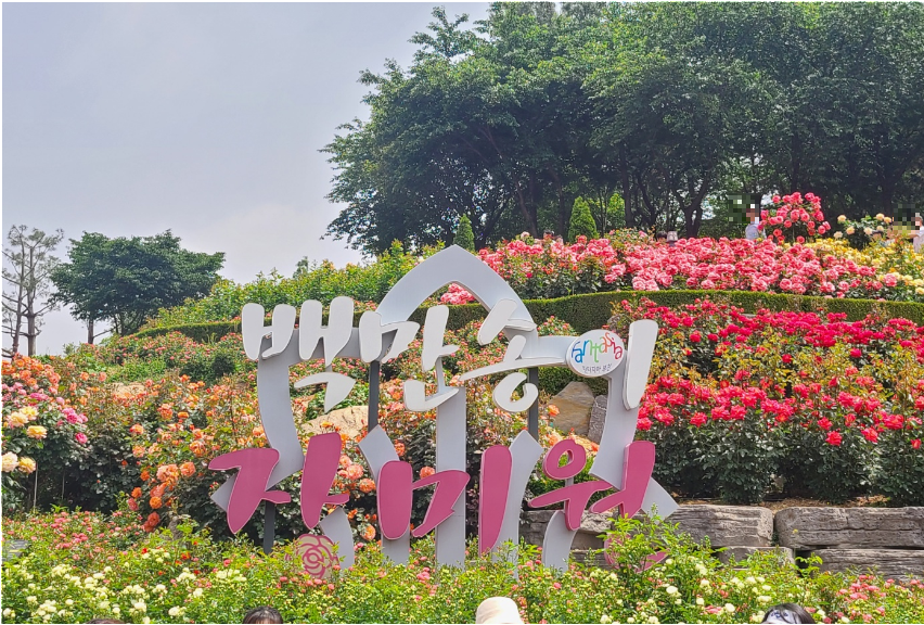 부천 백만송이 장미축제