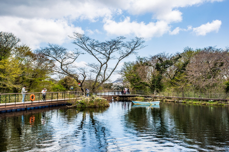 제주 에코랜드 테마파크