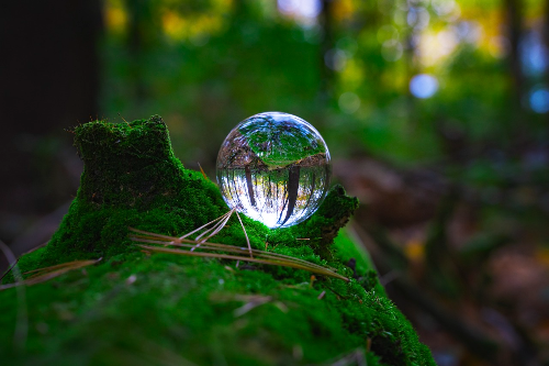 골다공증에 좋은 음식과 운동요법