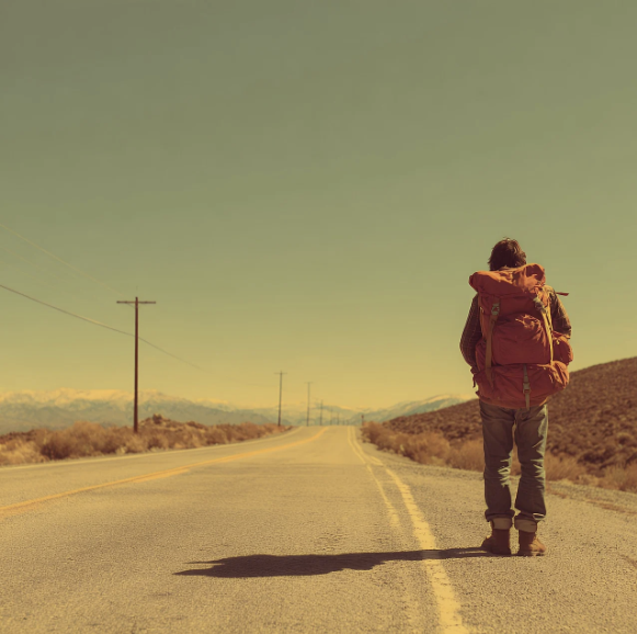 노매드랜드 영화 대체 사진