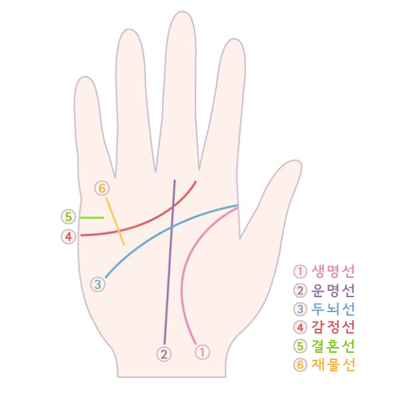 손금