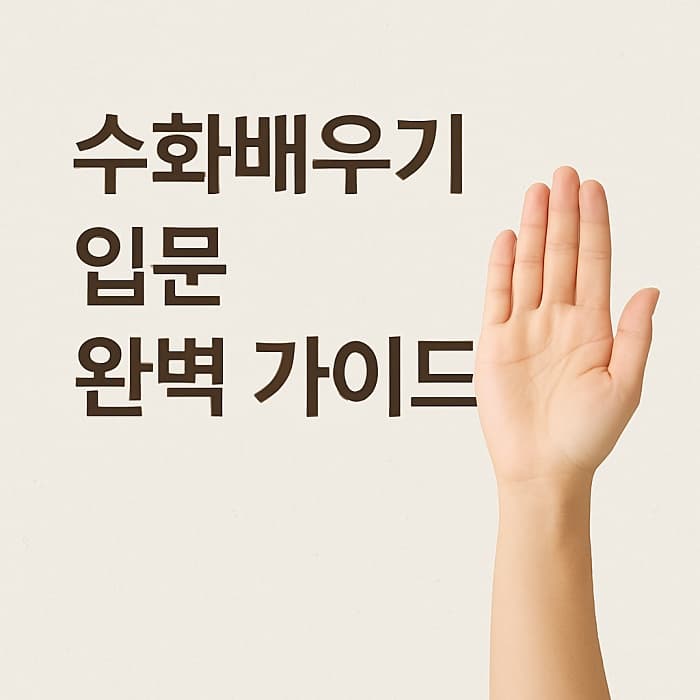👋 수화배우기 입문 - 초보자가 알아야 할 수어 기본부터 연습법까지
