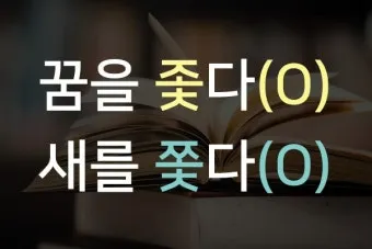 좇다 쫓다 맞춤법 맞는 표현 예문_26