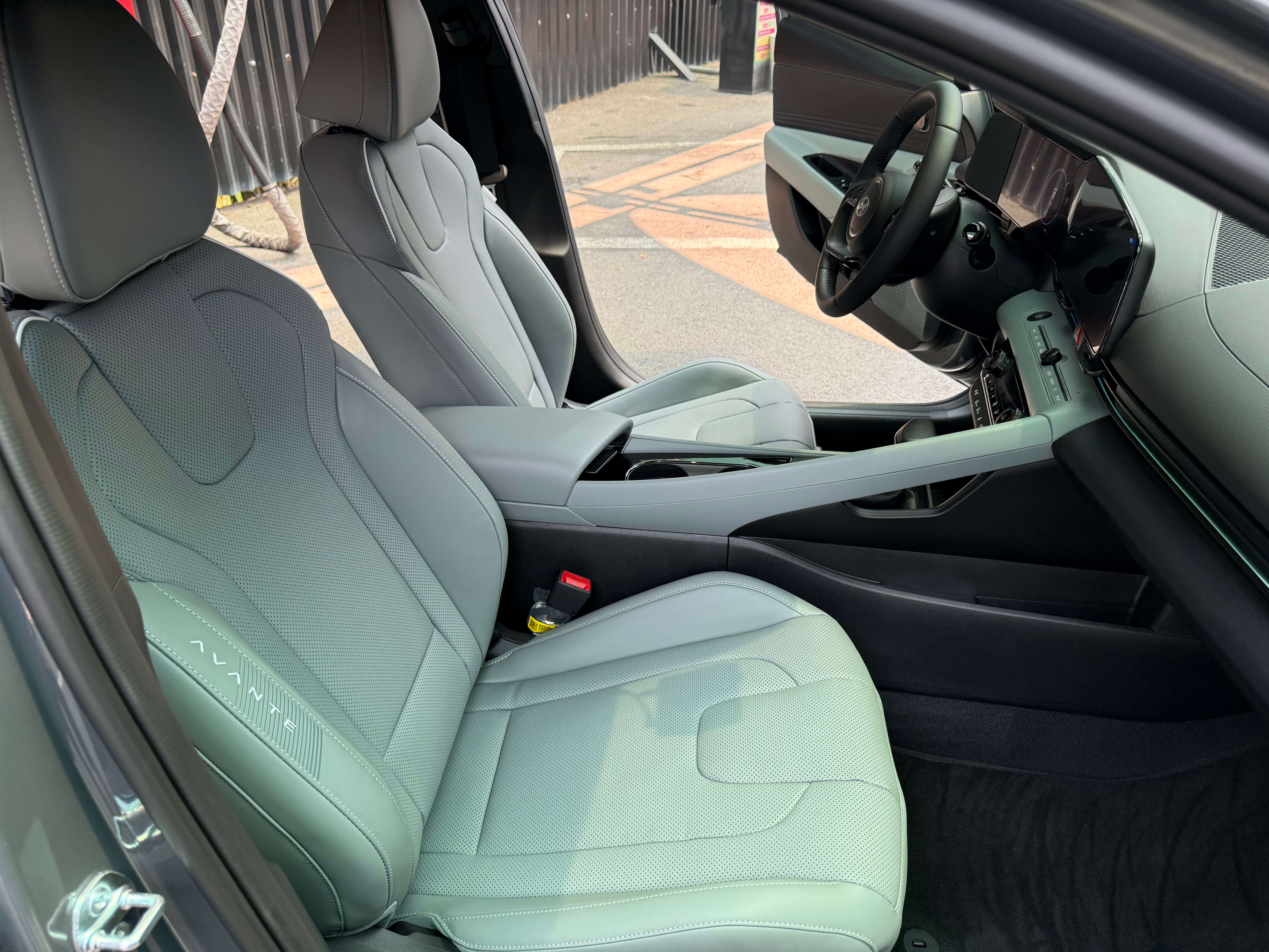 세이지 그린 시트