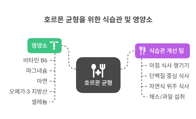호르몬 균형에 도움되는 식습관 & 영양소