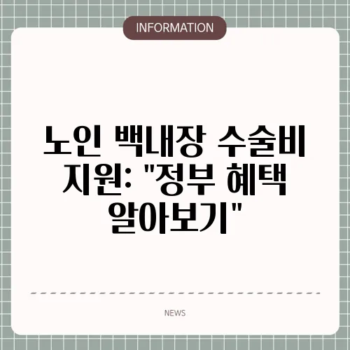 노인 백내장 수술비 지원: 