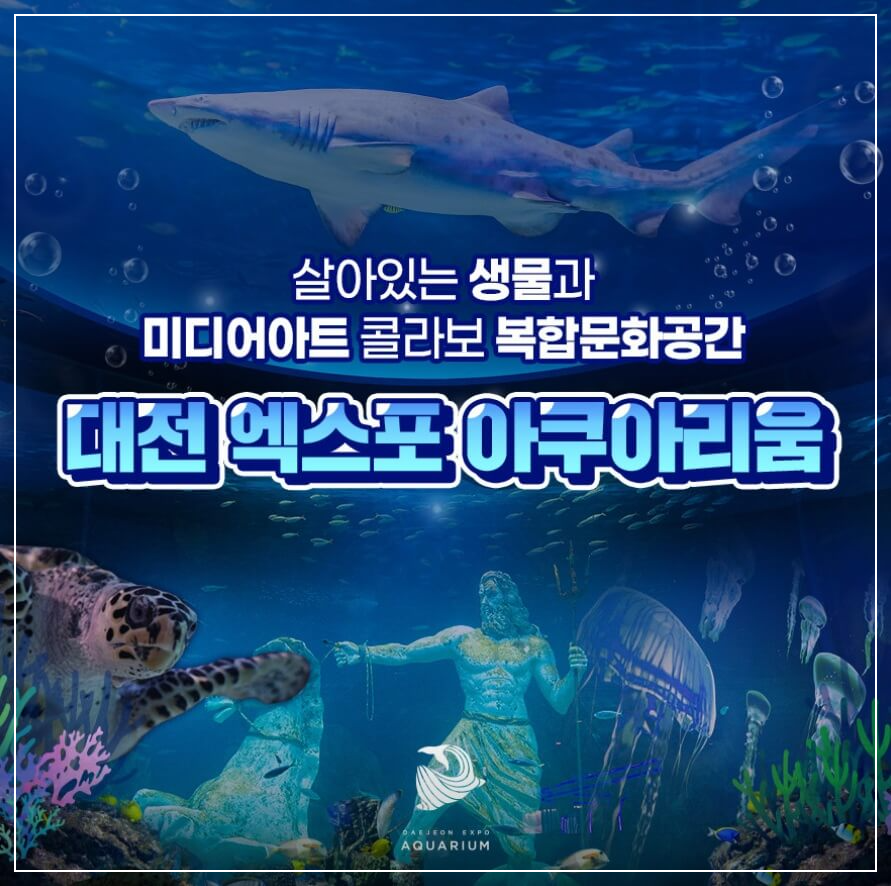 대전 가볼만한곳 베스트10 엑스포아쿠아리움