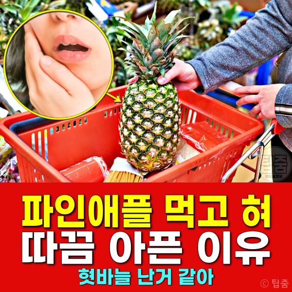 파인애플 먹고 혀가 아파요,혓바늘