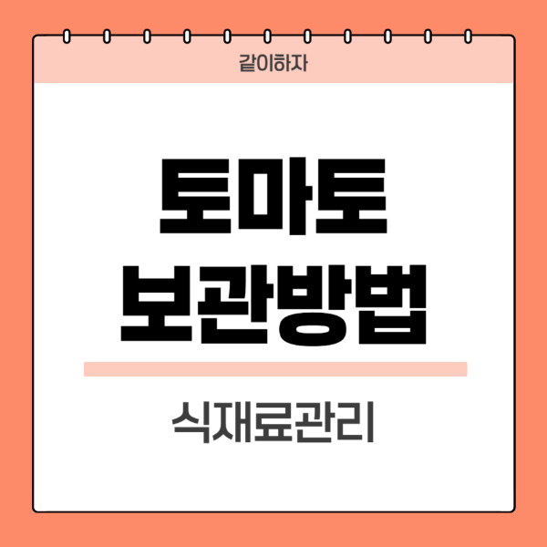 토마토-보관방법