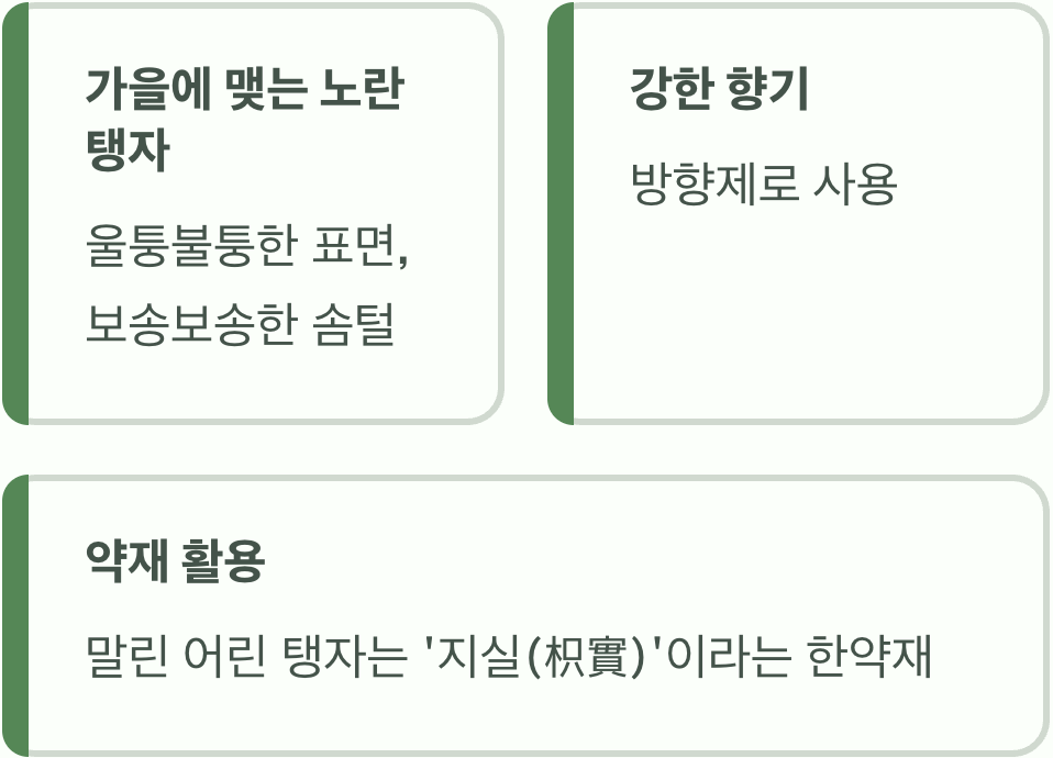 못생겼지만 향기로운, 노란 '열매'