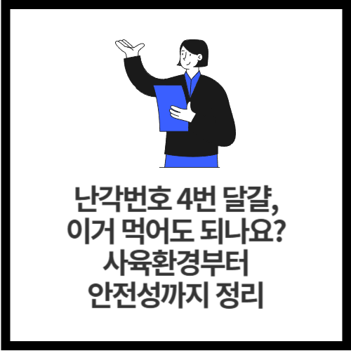 난각번호 4번 달걀, 이거 먹어도 되나요 사육환경부터 안전성까지 정리