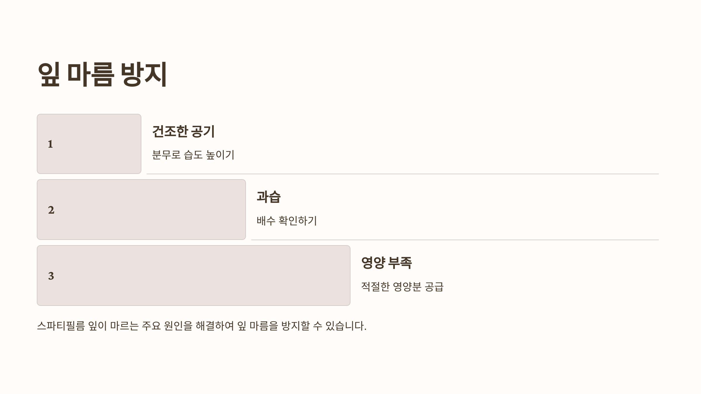 스파티필름과 관련된 사진입니다.