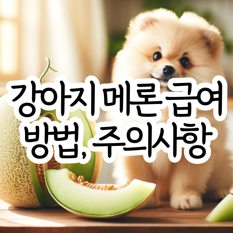 강아지 메론 급여량 급여방법 주의사항