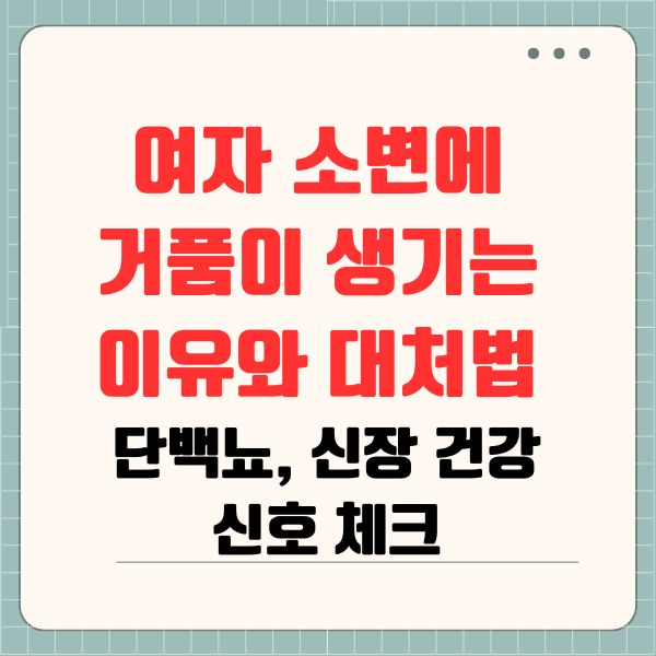 여자 소변에 거품이 생기는 이유와 대처법 단백뇨, 신장 건강 신호 체크