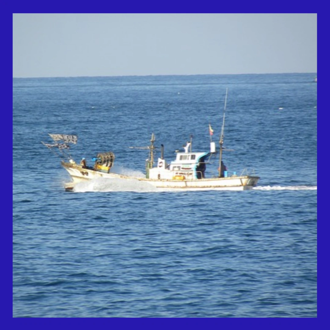 서귀포-어선-전복