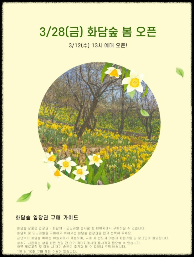 2025년 화담숲-봄맞이 최고의 벚꽃 명소