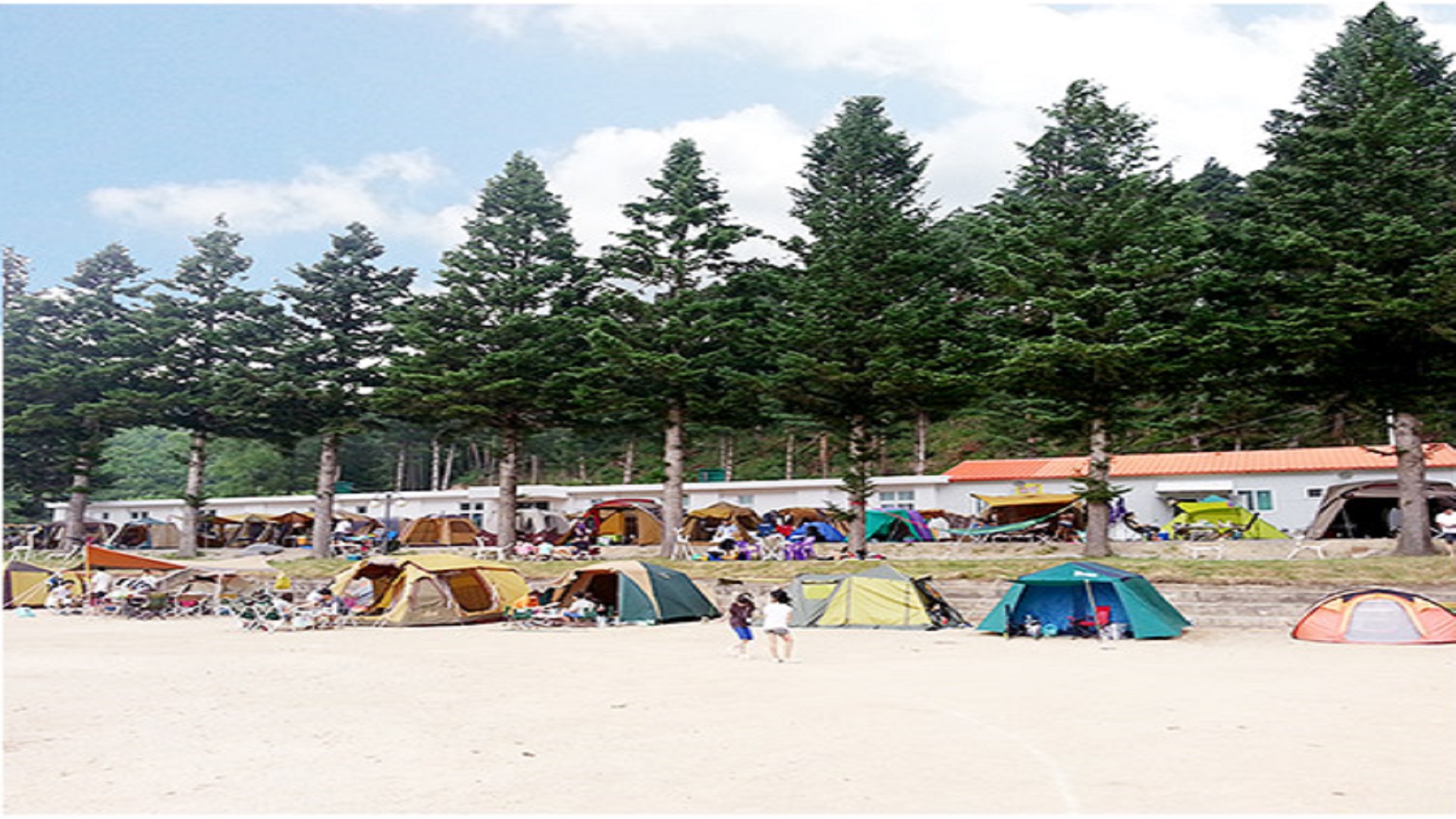 강릉 대기리 산촌 체험 학교 야영장 바로가기