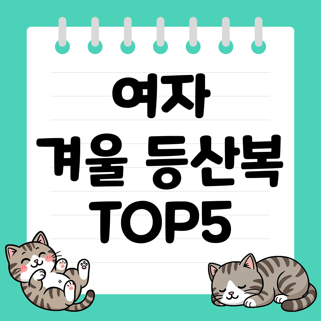 스타일&middot;기능 둘 다 잡은 여성용 겨울 등산복 세트 추천 순위 TOP5