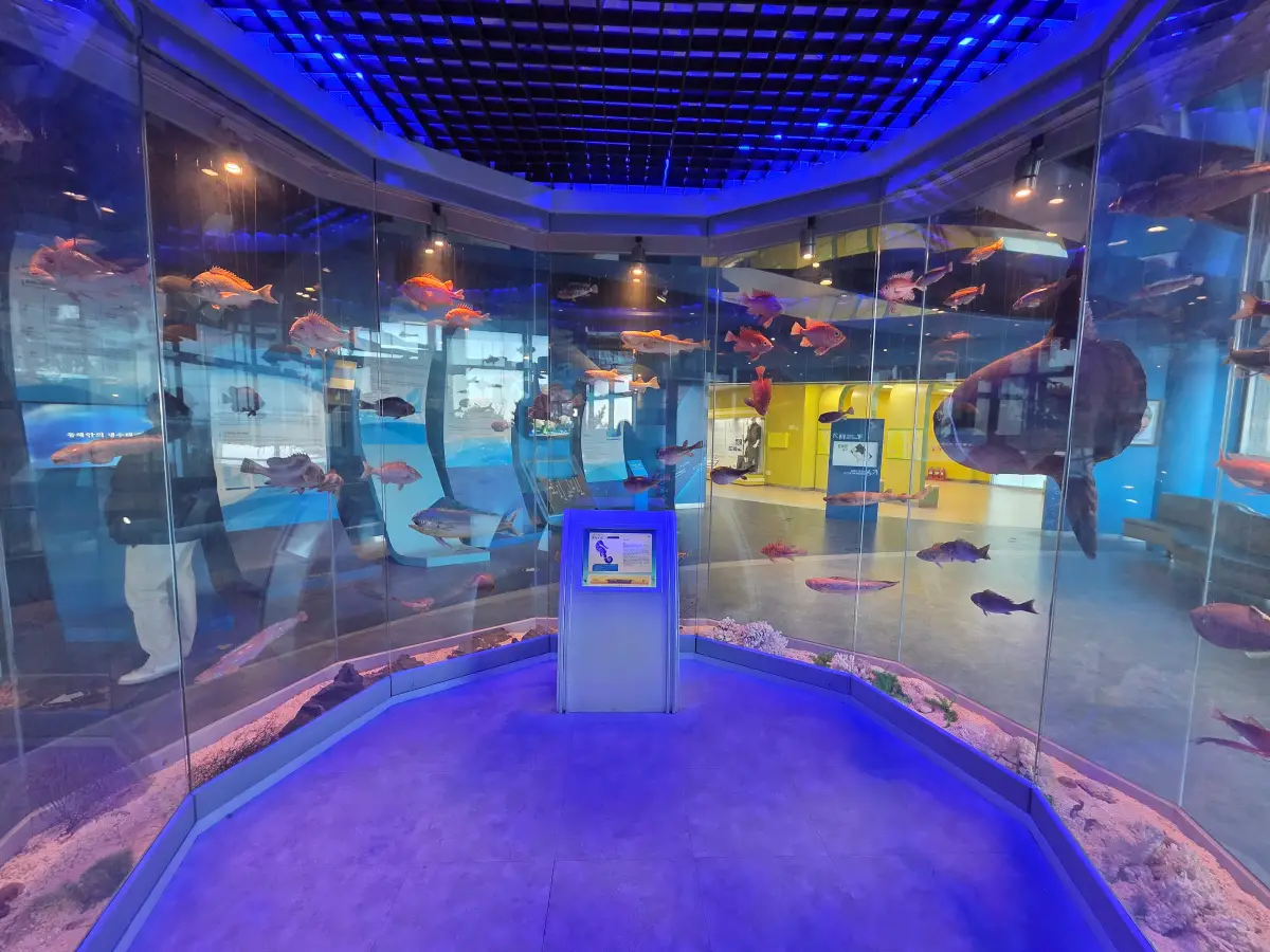 어류전시 01