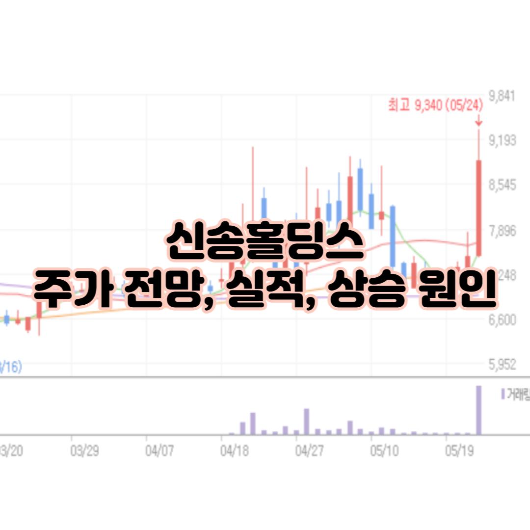 신송홀딩스 주가&#44; 실적&#44; 배당금&#44; 상승 원인