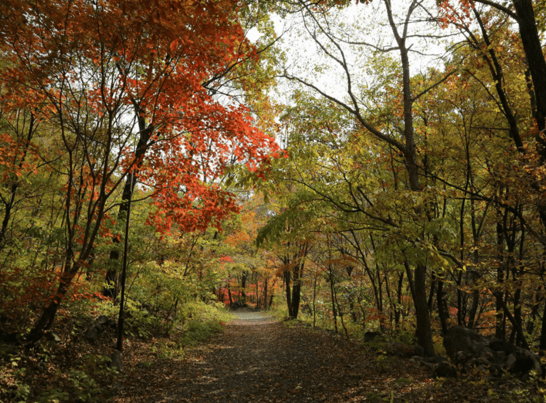 국립 용대자연휴양림