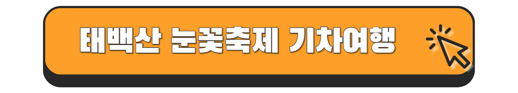 태백산 눈꽃축제 열차