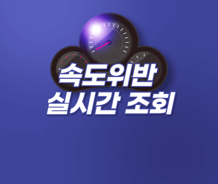 속도위반 실시간 조회