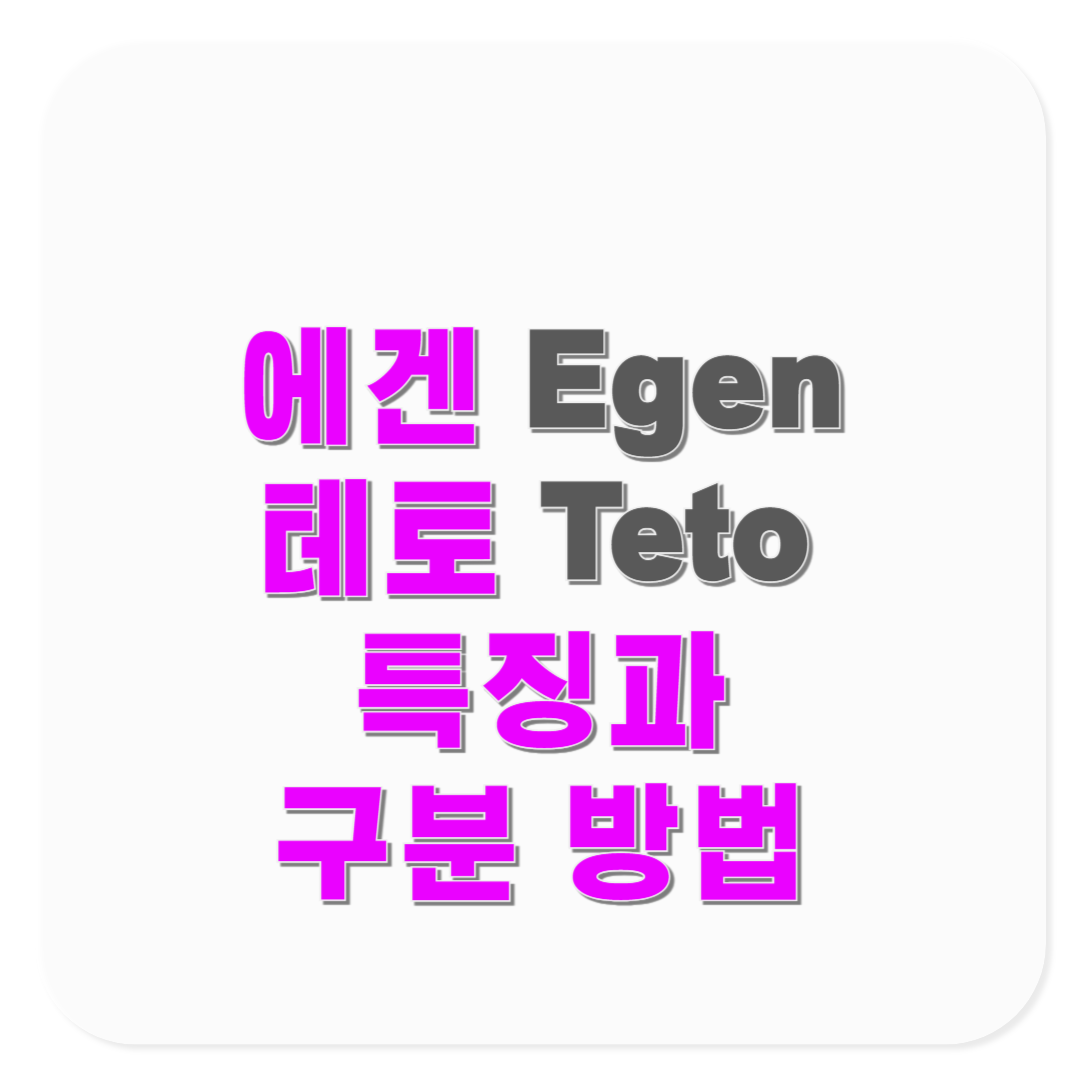 에겐녀 테토남 에겐남 테토녀 유형별 특징과 구분방법