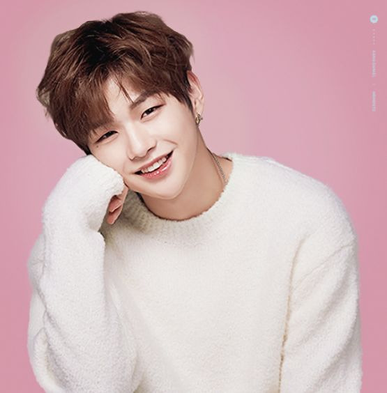 강다니엘 군대
