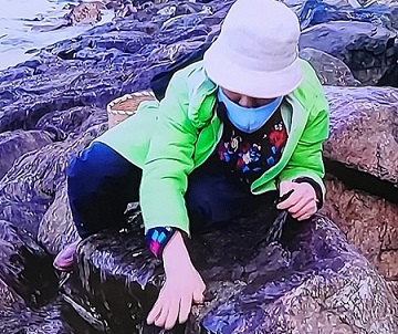 한국기행-울릉도-돌김-채취