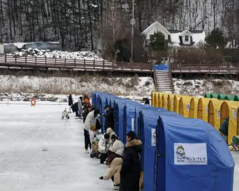 평창 송어축제_10