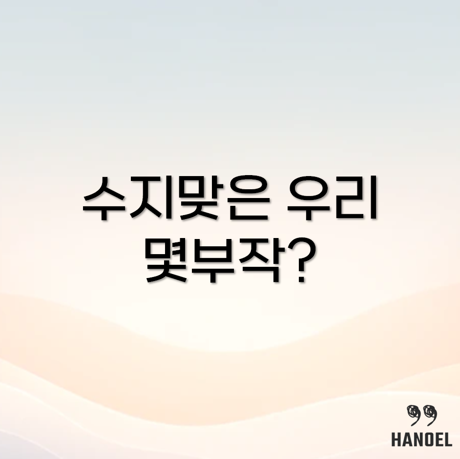 수지맞은 우리 몇부작