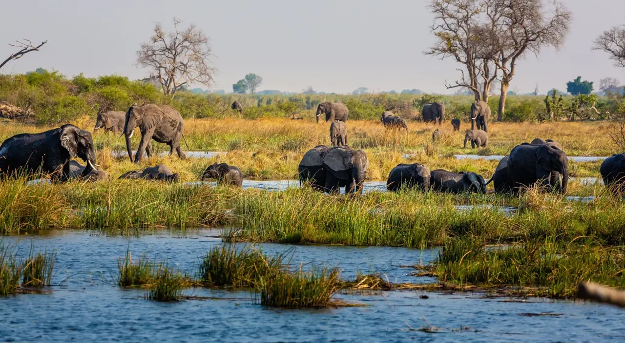 카프리비 야생동물 보호구역