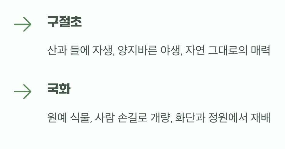 살아가는 터전의 차이