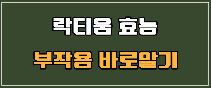 락티움 효능