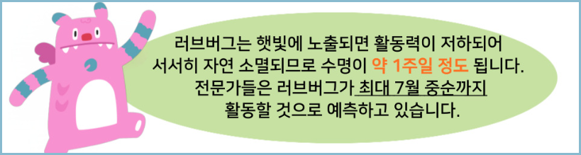 러브벌레-방역-대처법