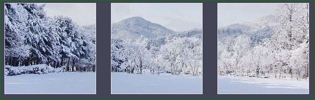 남이섬 겨울 풍경 이미지