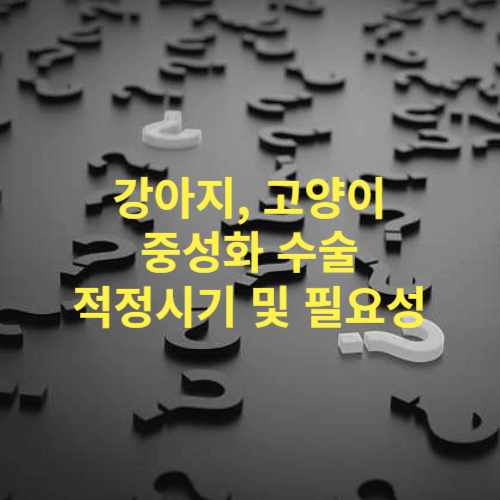반려동물의 중성화 적성시기 및 필요성