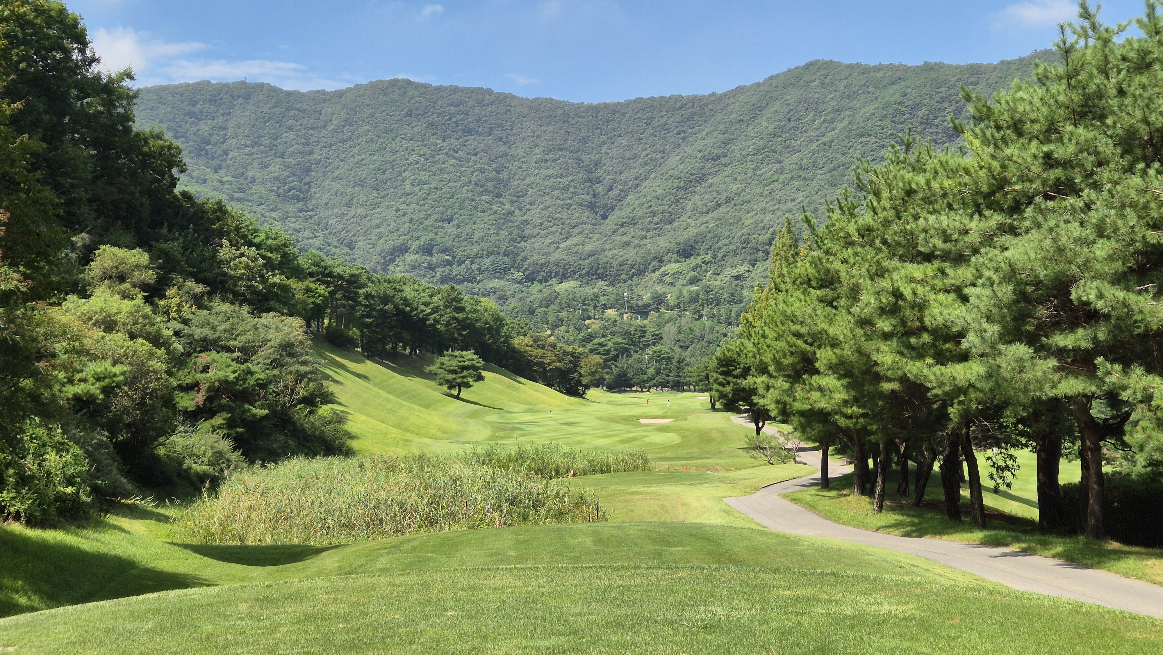 골프존카운티 천안 코스 사진 및 공략 정보