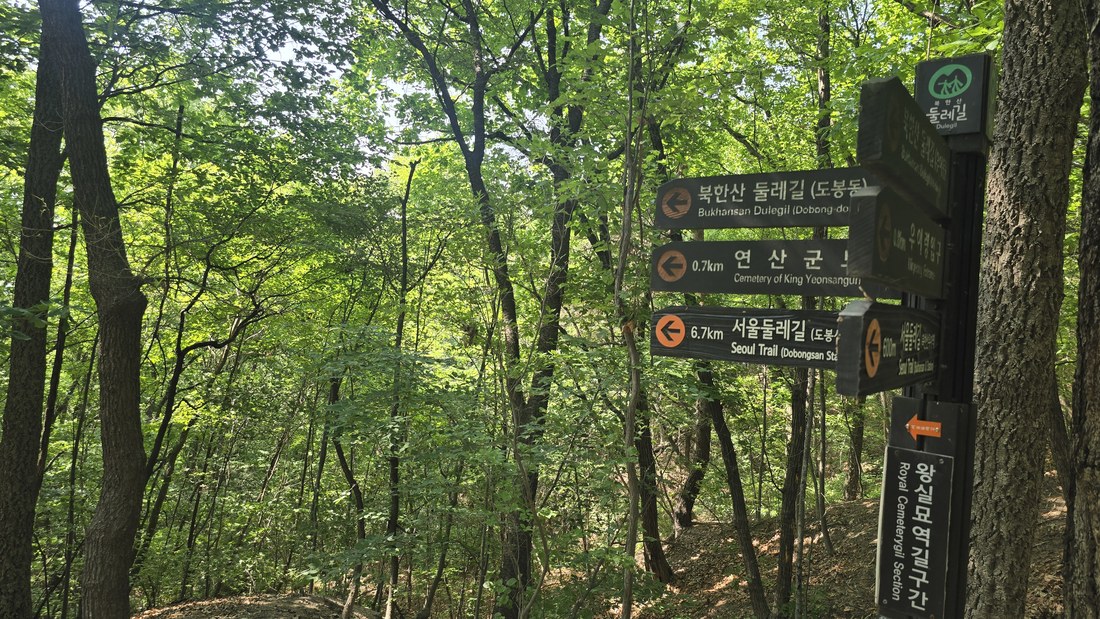 숲길로 접어드는 초입. 주황색 화살표 이정표가 방향을 알려줘요