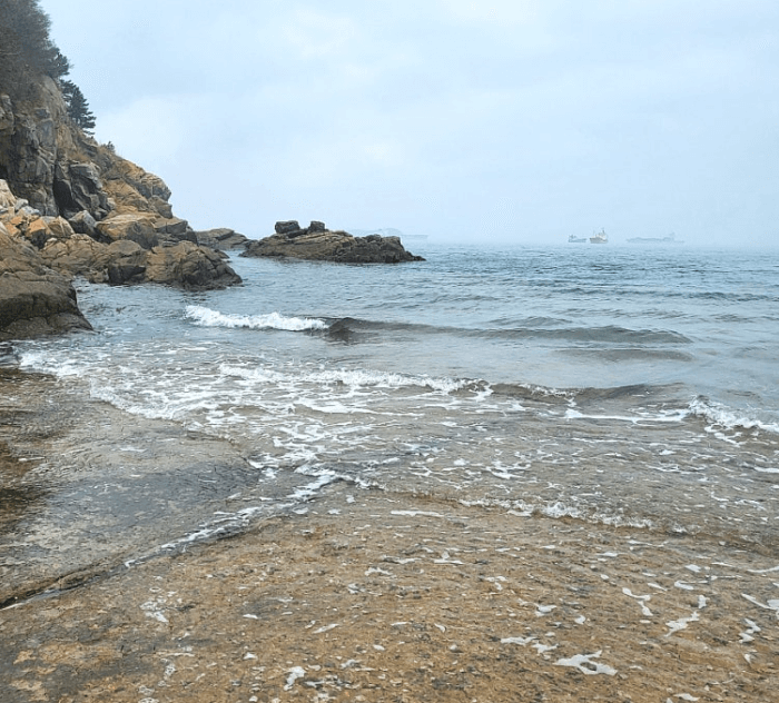 난지도해수욕장