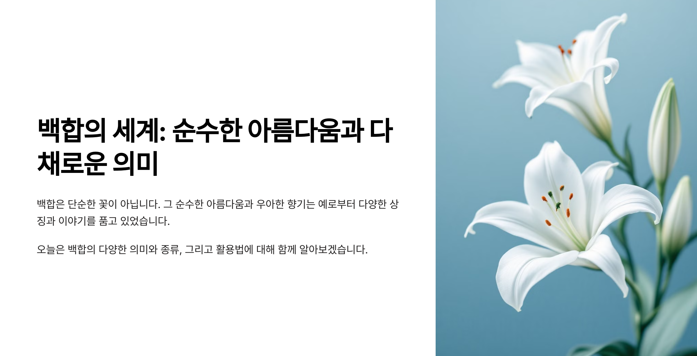 백합 사진